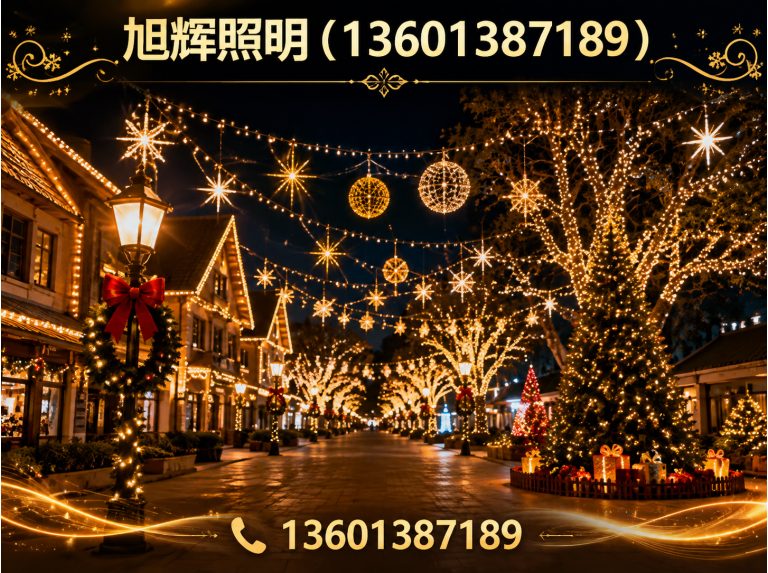 龙城区节日灯饰展示图